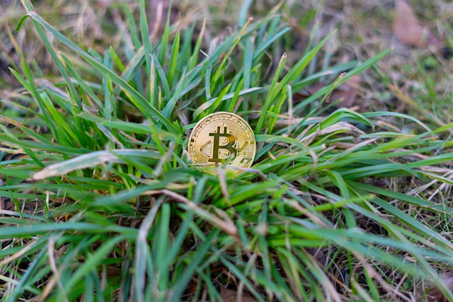 bitcoin recovery from scam